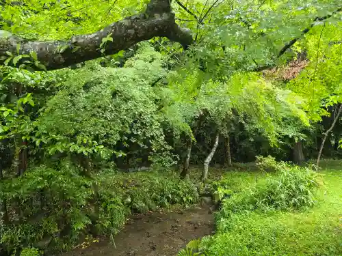 奥石神社(滋賀県)