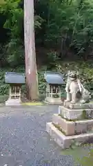 大川神社の狛犬