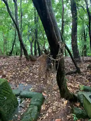 御嶽神社の自然
