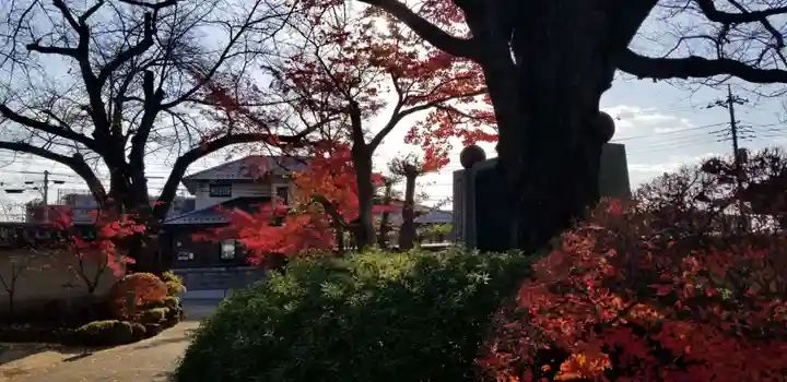 大勝院(千葉県)