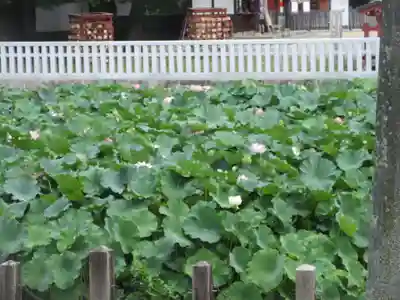 伊賀八幡宮(愛知県)