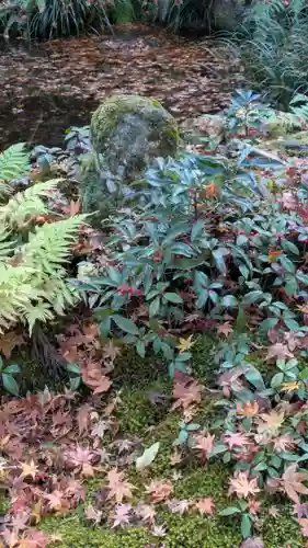 三千院門跡(京都府)