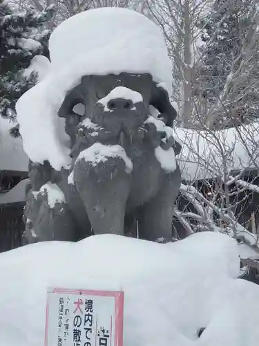 札幌護國神社の狛犬