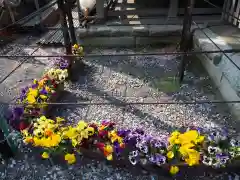 天祖神社の景色