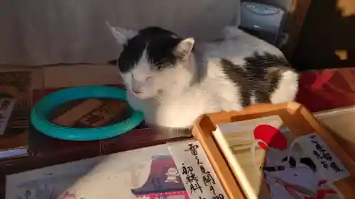 賀茂別雷神社の動物