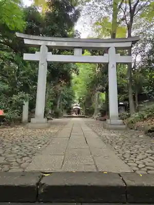 代々木八幡宮の鳥居