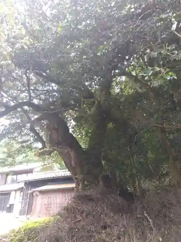 田結神社(福井県)