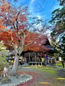 蚊里田八幡宮(長野県)(2025年11月23日(日) 18時11分54秒投稿)