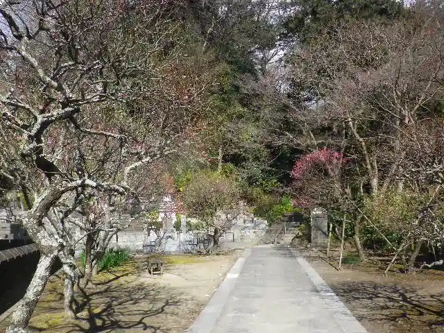 妙本寺(神奈川県)