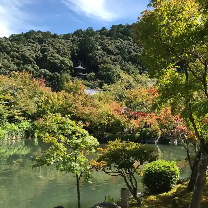禅林寺(永観堂)の庭園