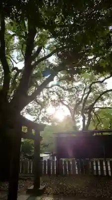 向日神社の{uncategorized: "未分類", other: "その他", undefined: "問題あり", building: "その他建物", grave: "お墓", sacred_gate: "鳥居", guardian: "狛犬", statue: "像", buddha: "仏像", history: "歴史", nature: "自然", garden: "庭園", animal: "動物", pagoda: "塔", temizu: "手水舎", mountain_gate: "山門・神門", sanctuary: "本殿・本堂", subordinate: "末社・摂社", art: "芸術", scenery: "景色", jizo: "地蔵", ema: "絵馬", goshuin: "御朱印", omikuji: "おみくじ", items: "授与品その他", amulet: "お守り", goshuincho: "御朱印帳", eats: "食事", festival: "お祭り", votive_dance: "神楽", shichigosan: "七五三参", wedding: "結婚式", experience: "体験その他", initially: "初詣", around: "周辺", anti_infection: "感染症対策"}
