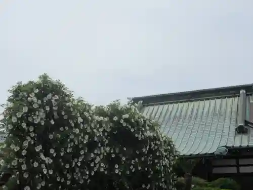 九品寺のその他建物