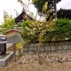 本法寺(京都府)