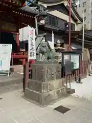 浅草神社の狛犬