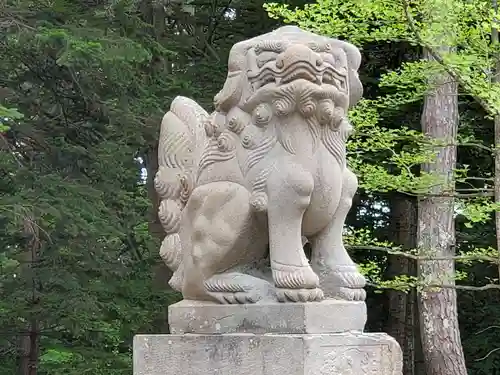 上川神社の狛犬