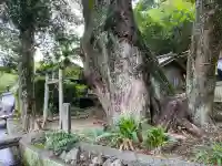 楠上神社(高知県)