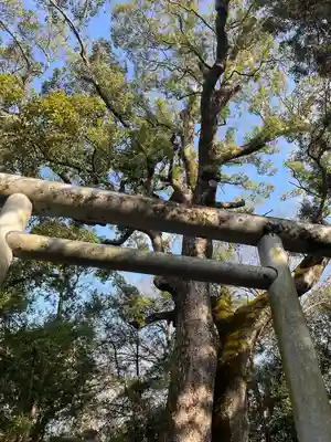 伊弉諾神宮(兵庫県)