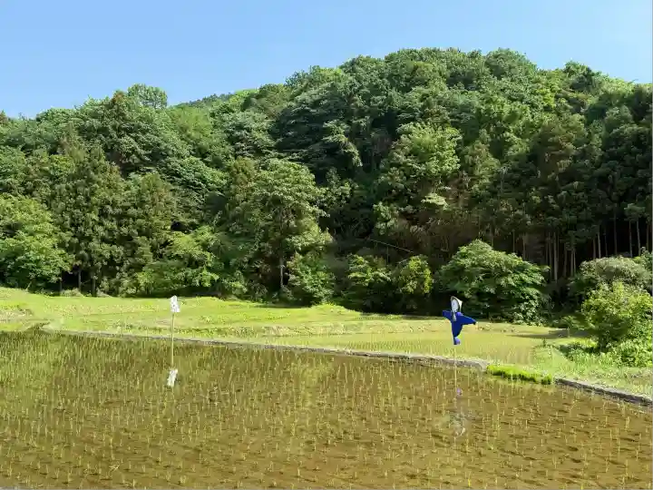 五所駒瀧神社(茨城県)