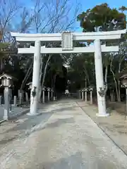 錦織神社(大阪府)