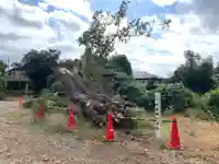 高峯庵跡(千葉県)