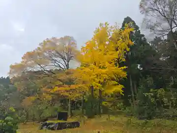 邇々杵神社(滋賀県)