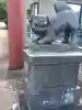 京極八幡神社の狛犬