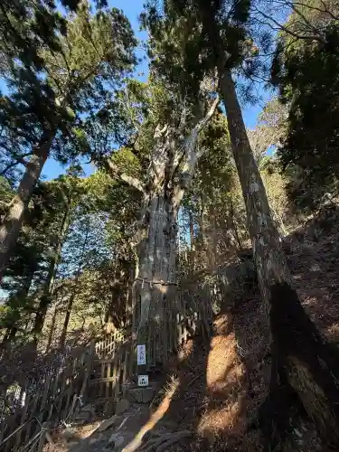 玉置神社(奈良県)