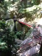 名草厳島神社の自然