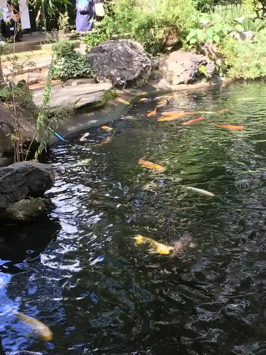 愛宕神社の庭園