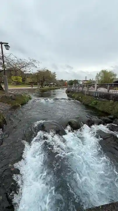 富士山本宮浅間大社(静岡県)