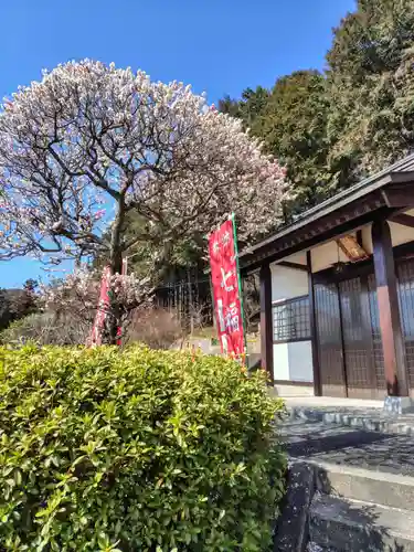 本願寺(栃木県)