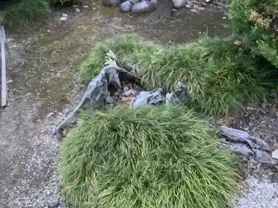 天満宮（常普請出世天満宮）の自然