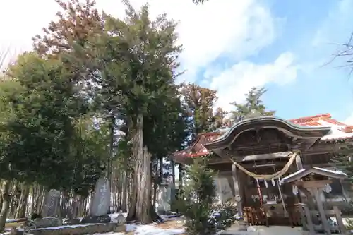 庄野菅原神社の本殿・本堂