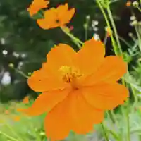 豊景神社の自然