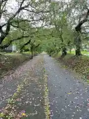 徳佐八幡宮の建物その他