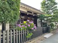 蓮光院の山門