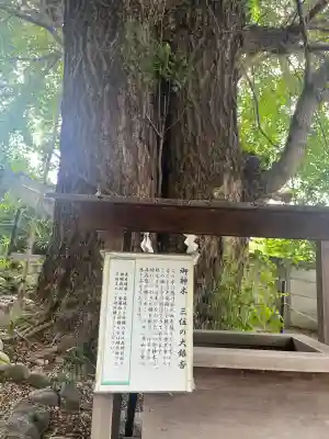 堤治神社(愛知県)