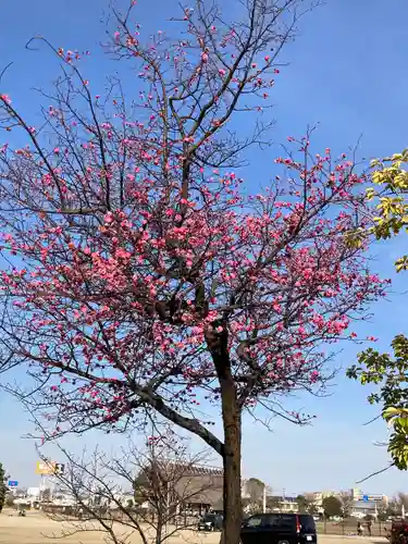 曽禰神社(大阪府)