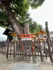 阿遅速雄神社(大阪府)