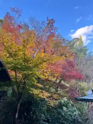 長法寺(京都府)