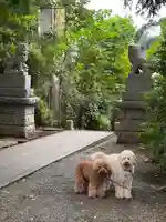 日吉神社(神奈川県)