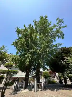 千住神社(東京都)