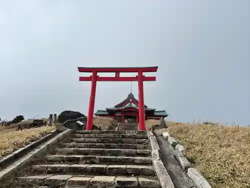 箱根元宮の鳥居