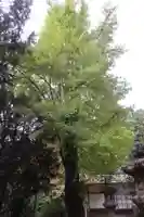 大洗磯前神社(岐阜県)