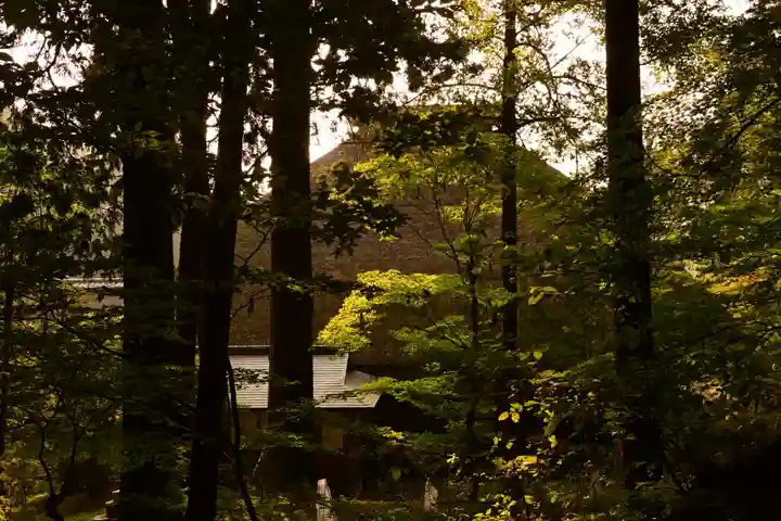 常楽寺(長野県)