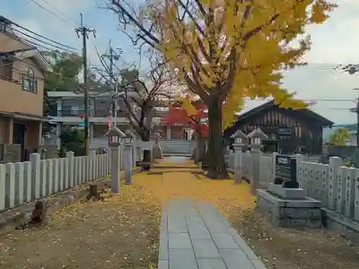 堤根神社(大阪府)