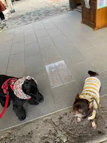 熊野皇大神社(長野県)