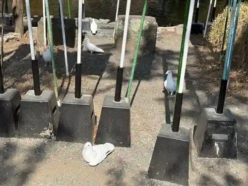 鶴岡八幡宮(神奈川県)