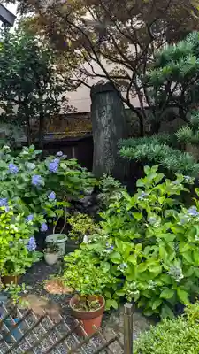 住本寺(京都府)