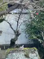 伊勢の国 四天王寺(三重県)